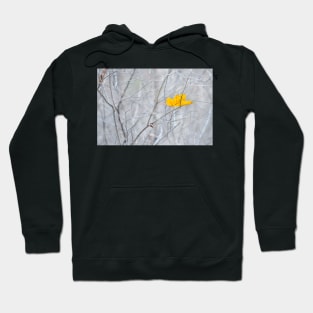 ~ a singular leaf, an Autumn memory... Hoodie